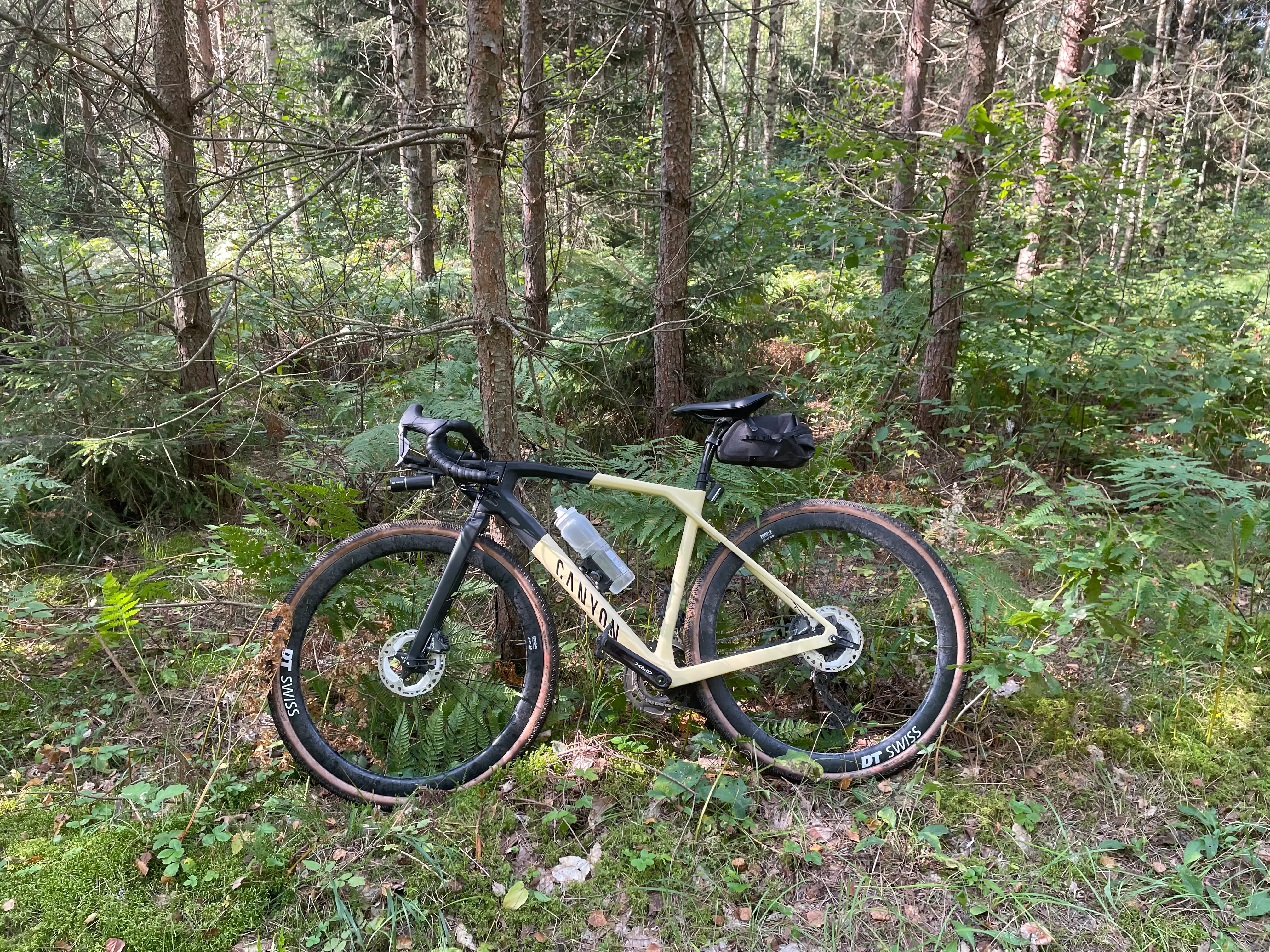 Gravelbike im Wald